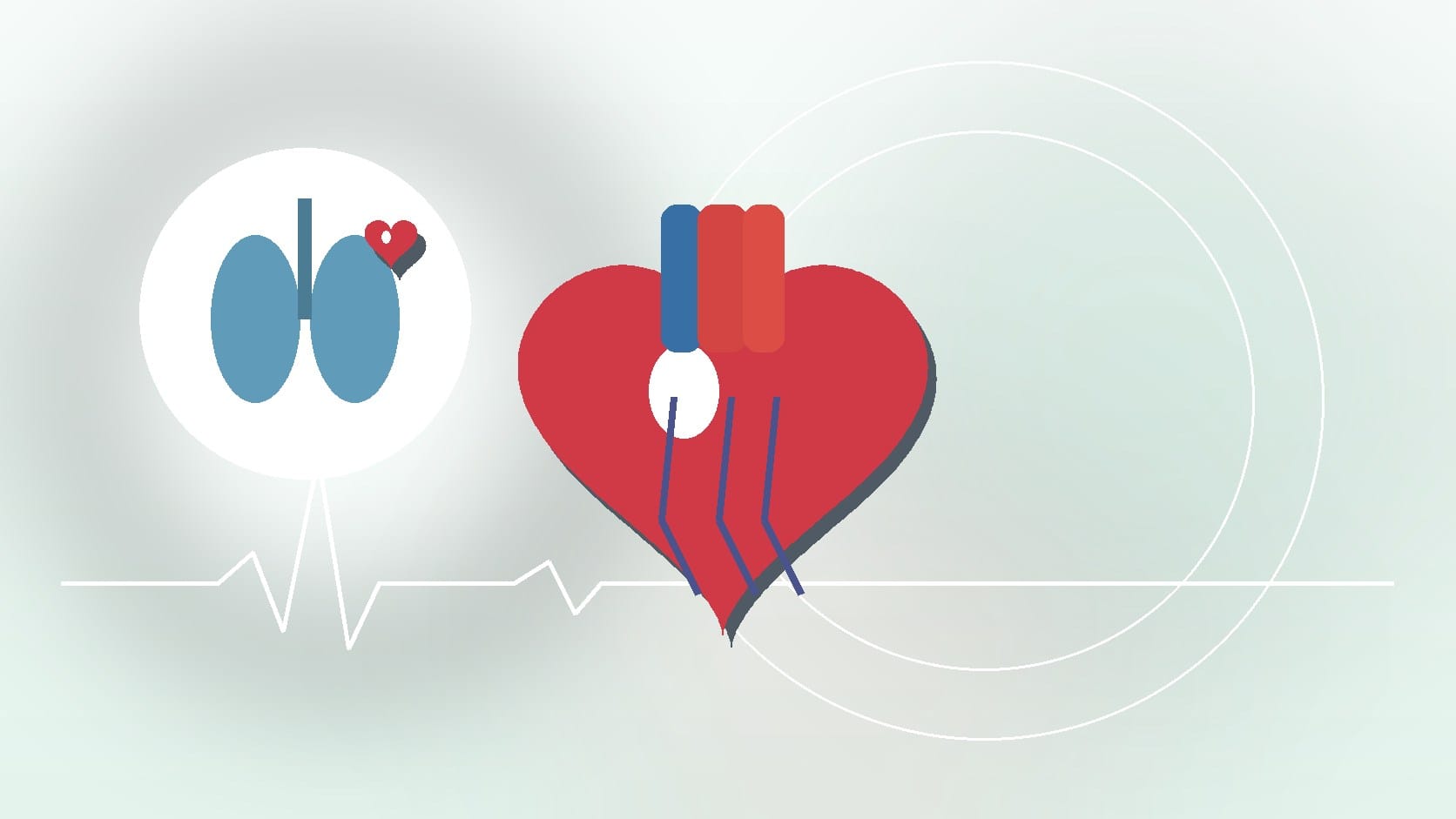 8 Signs of Heart Failure