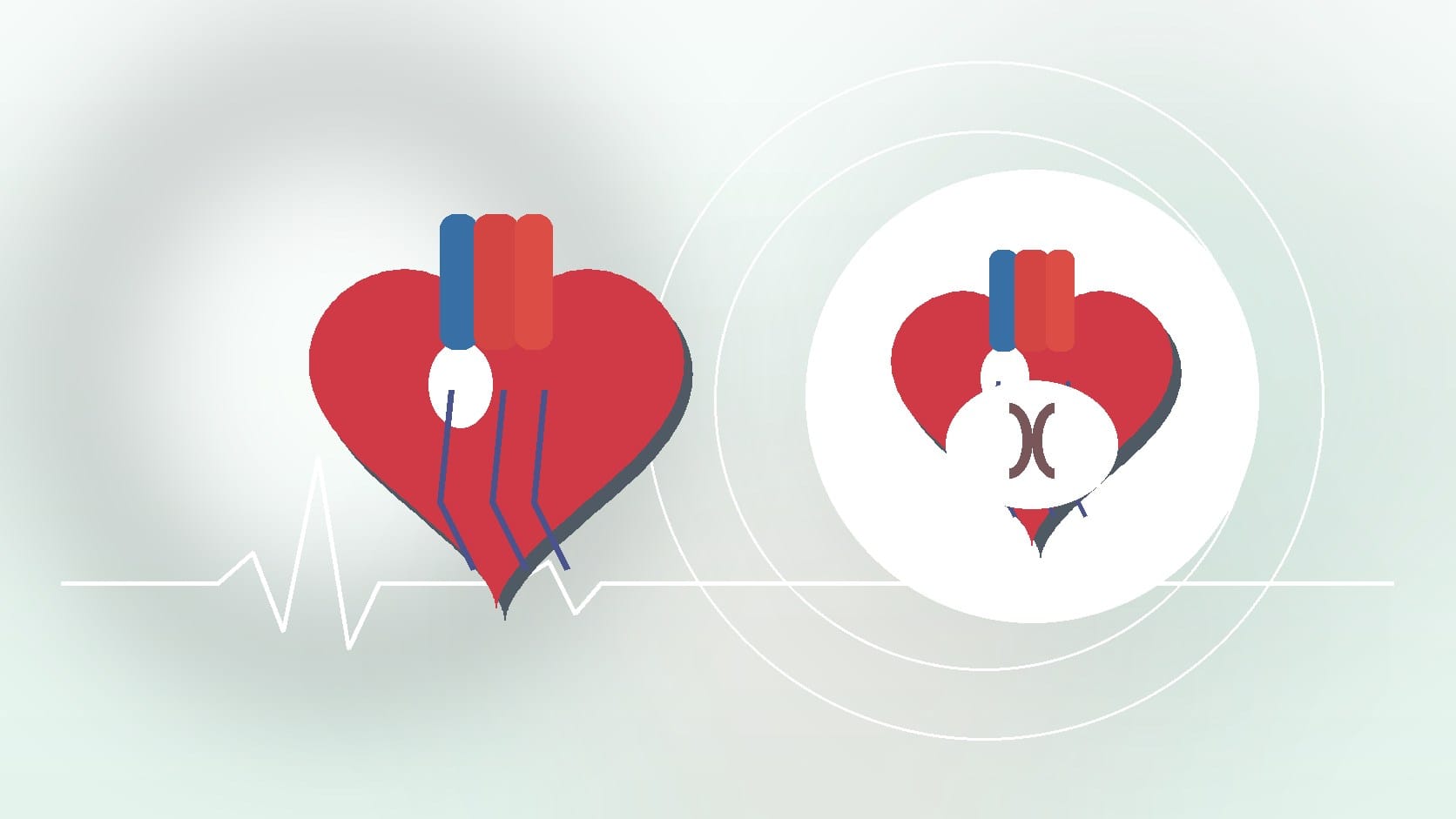 Heart Murmur Symptoms in Adults: Recognizing Warning Signs for Timely Intervention